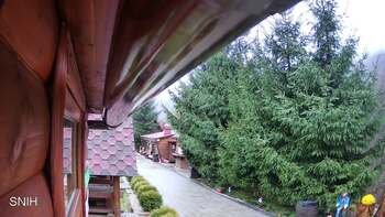 Міжгір’я 9 листопада 2025 року, 2025-11-09 16:00