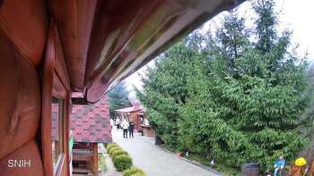 Міжгір’я 10 листопада 2025 року, 2025-11-10 10:00