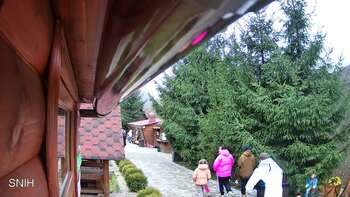 Міжгір’я 11 листопада 2025 року, 2025-11-11 10:00