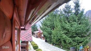 Міжгір’я 11 листопада 2025 року, 2025-11-11 13:00