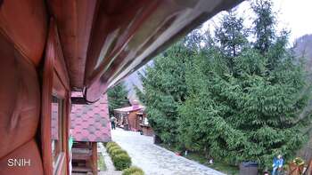 Міжгір’я 11 листопада 2025 року, 2025-11-11 16:00