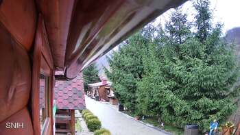 Міжгір’я 12 листопада 2025 року, 2025-11-12 16:00