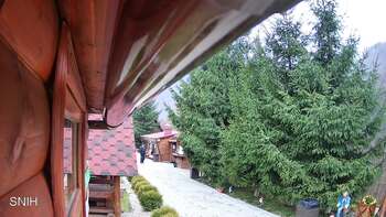 Міжгір’я 15 листопада 2025 року, 2025-11-15 10:00