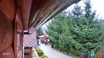 Міжгір’я 18 листопада 2025 року, 2025-11-18 10:00