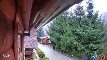 Міжгір’я 20 листопада 2025 року, 2025-11-20 10:00