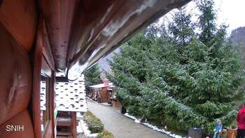 Міжгір’я 22 листопада 2025 року, 2025-11-22 13:00