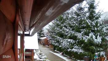 Міжгір’я 23 листопада 2025 року, 2025-11-23 10:00