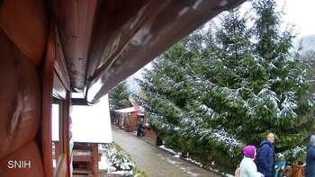 Міжгір’я 23 листопада 2025 року, 2025-11-23 13:00