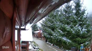 Міжгір’я 23 листопада 2025 року, 2025-11-23 16:00