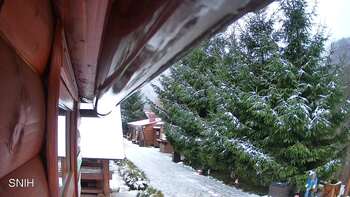 Міжгір’я 24 листопада 2025 року, 2025-11-24 10:00