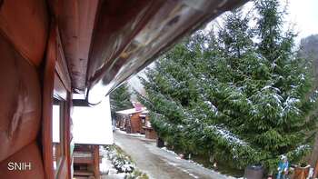 Міжгір’я 24 листопада 2025 року, 2025-11-24 13:00