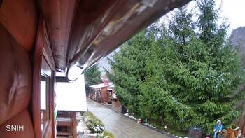 Міжгір’я 25 листопада 2025 року, 2025-11-25 10:00