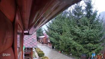 Міжгір’я 26 листопада 2025 року, 2025-11-26 16:00