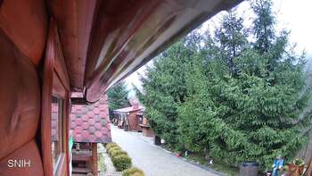 Міжгір’я 29 листопада 2025 року, 2025-11-29 13:00