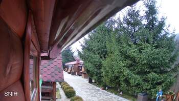 Міжгір’я 3 грудня 2025 року, 2025-12-03 16:00