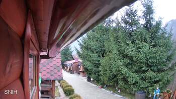 Міжгір’я 4 грудня 2025 року, 2025-12-04 16:00