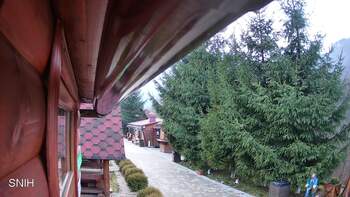 Міжгір’я 5 грудня 2025 року, 2025-12-05 16:00