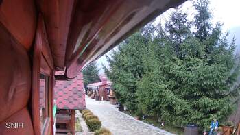 Міжгір’я 11 грудня 2025 року, 2025-12-11 16:00