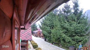 Міжгір’я 13 грудня 2025 року, 2025-12-13 10:00