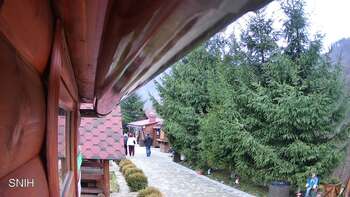 Міжгір’я 13 грудня 2025 року, 2025-12-13 13:00