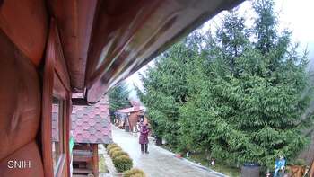 Міжгір’я 14 грудня 2025 року, 2025-12-14 10:00