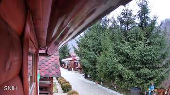 Міжгір’я 14 грудня 2025 року, 2025-12-14 16:00