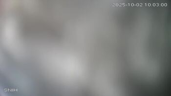 Драгобрат 2 жовтня 2025 року, 2025-10-02 10:00