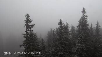 Драгобрат 12 листопада 2025 року, 2025-11-12 16:00