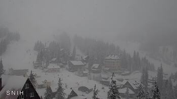 Драгобрат 31 грудня 2025 року, 2025-12-31 10:00