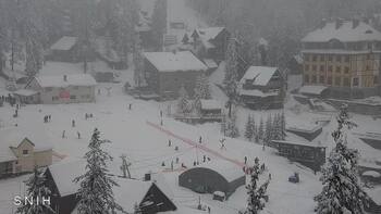 Драгобрат 8 січня 2026 року, 2026-01-08 13:00