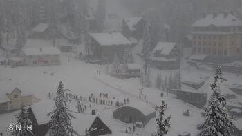 Драгобрат 8 січня 2026 року, 2026-01-08 16:00