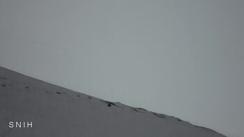 Драгобрат 20 січня 2026 року, 2026-01-20 16:00