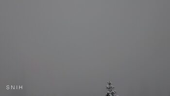 Драгобрат 31 січня 2026 року, 2026-01-31 13:00