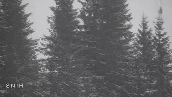 Драгобрат 19 лютого 2026 року, 2026-02-19 16:00