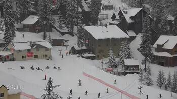 Драгобрат 24 лютого 2026 року, 2026-02-24 13:00