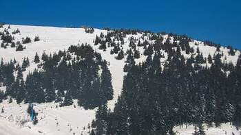 Драгобрат 27 лютого 2026 року, 2026-02-27 10:00