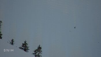 Drahobrat 7 marsz 2026 rok, 2026-03-07 16:00