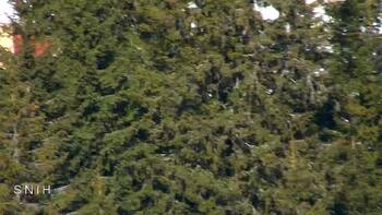 Драгобрат 16 березня 2026 року, 2026-03-16 10:00