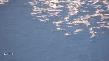 Драгобрат 16 березня 2026 року, 2026-03-16 16:00