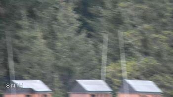 Драгобрат 24 березня 2026 року, 2026-03-24 13:00