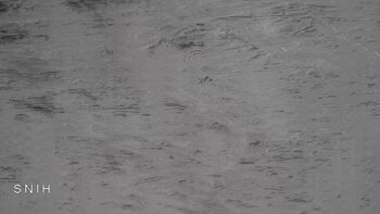 Драгобрат 25 березня 2026 року, 2026-03-25 13:00