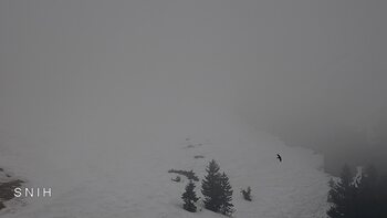 Драгобрат 27 березня 2026 року, 2026-03-27 10:00