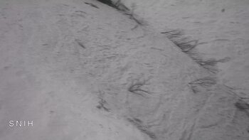 Драгобрат 31 березня 2026 року, 2026-03-31 10:00