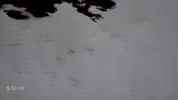 Драгобрат 14 квітня 2026 року, 2026-04-14 10:00