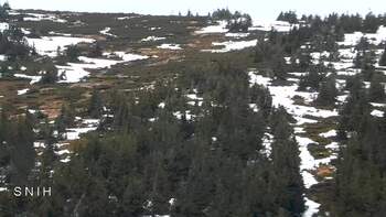 Драгобрат 15 квітня 2026 року, 2026-04-15 13:00