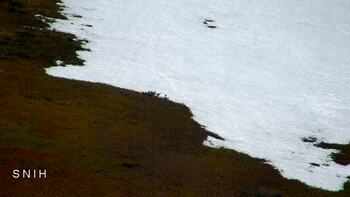 Драгобрат 19 квітня 2026 року, 2026-04-19 10:00