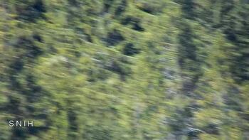 Драгобрат 24 квітня 2026 року, 2026-04-24 13:00