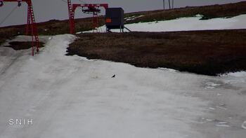 Драгобрат 25 квітня 2026 року, 2026-04-25 10:00