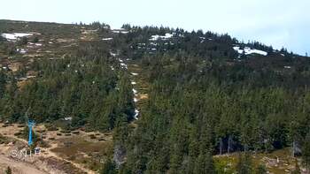 Драгобрат 25 квітня 2026 року, 2026-04-25 13:00