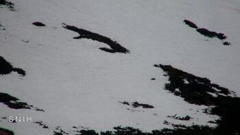 Драгобрат 28 квітня 2026 року, 2026-04-28 16:00